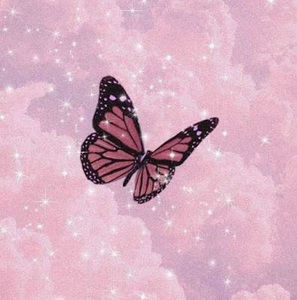 Meet your Posher, Kaitlyn